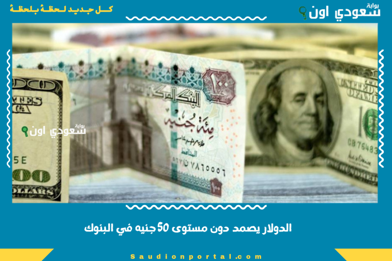 الدولار يصمد دون مستوى 50 جنيه في البنوك